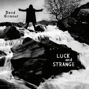DAVID GILMOUR Luck And Strange - Vinyl LP - Album