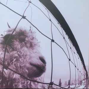 PEARL JAM Vs. (30th Anniversary) - Clear Vinyl LP - Album