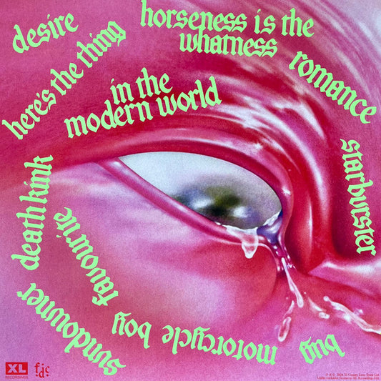 FONTAINES D.C. Romance - Limited Edition Blue Deluxe Vinyl LP + Bonus 7” - Album