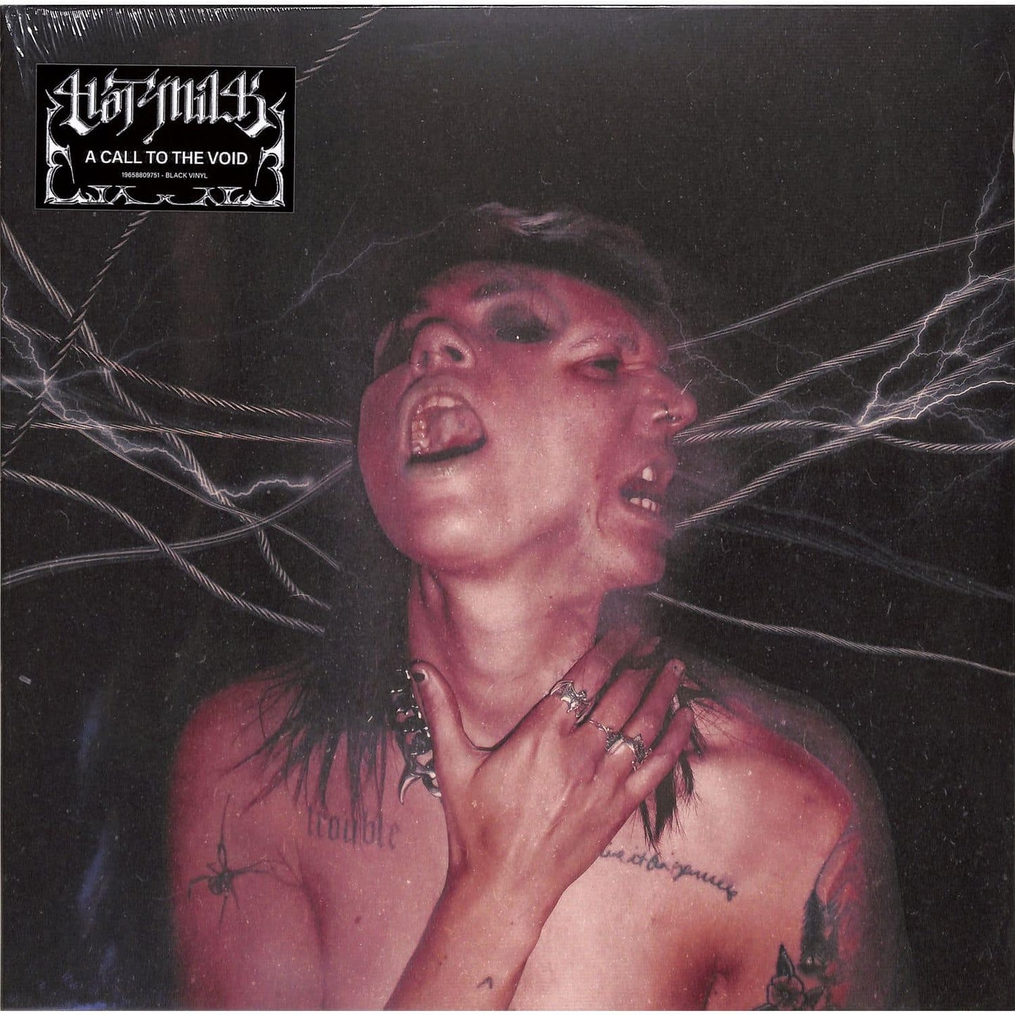 HOT MILK A Call To The Void - Vinyl LP - Album