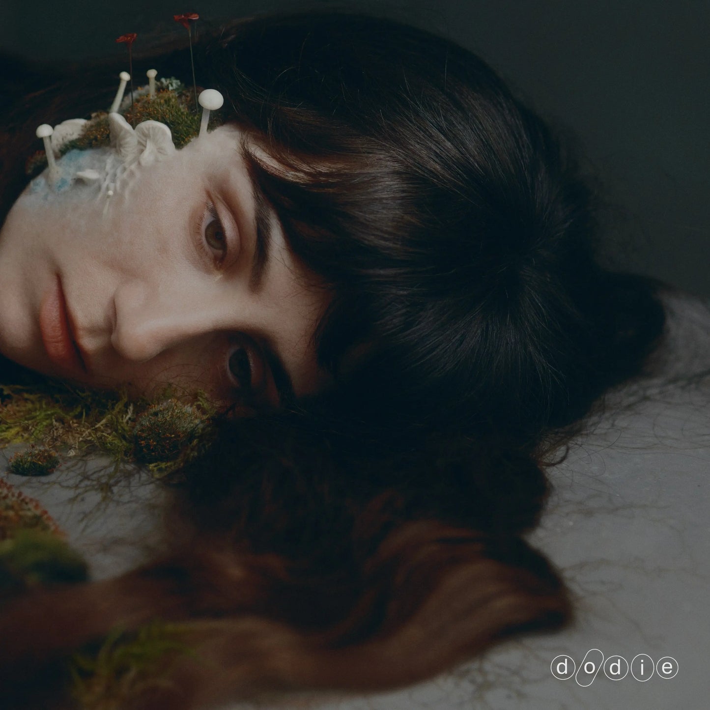 DODIE Not For Lack Of Trying - Limited Edition Smokey Black Vinyl LP - Album