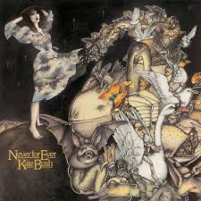 KATE BUSH Never For Ever - 180g Vinyl LP - Album