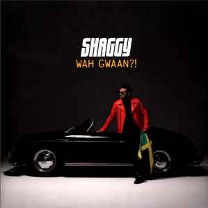 SHAGGY Wah Gwaan?! - Light Green Vinyl LP + Yellow Vinyl LP - Album