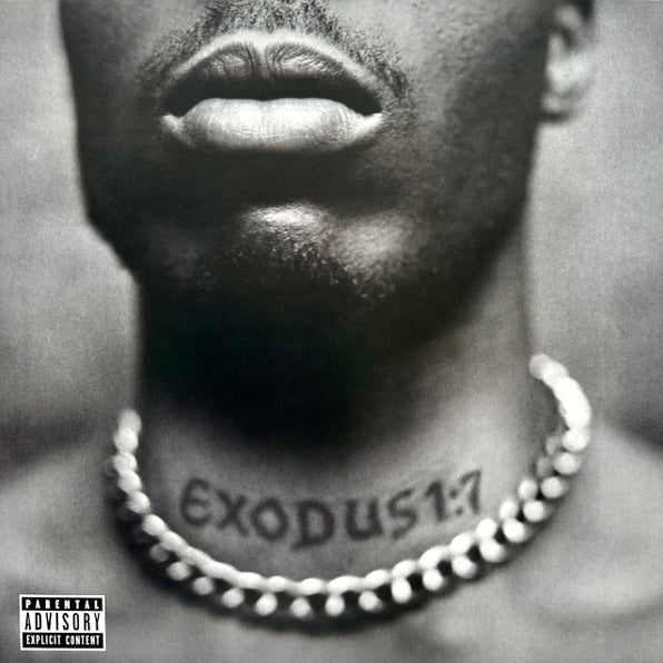 DMX Exodus - Vinyl LP - Album