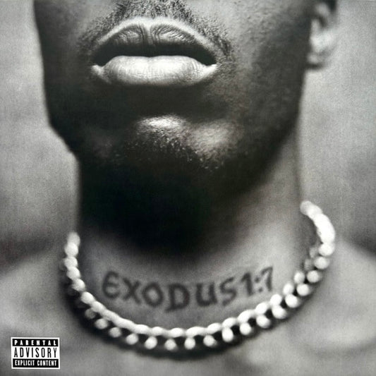 DMX Exodus - Vinyl LP - Album
