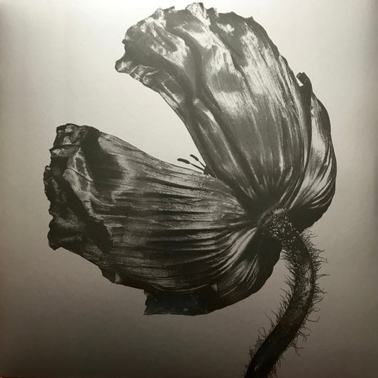 PET SHOP BOYS Release - Vinyl LP - Album