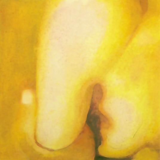 SMASHING PUMPKINS Pisces Iscariot - 180G Vinyl 2LP - Album