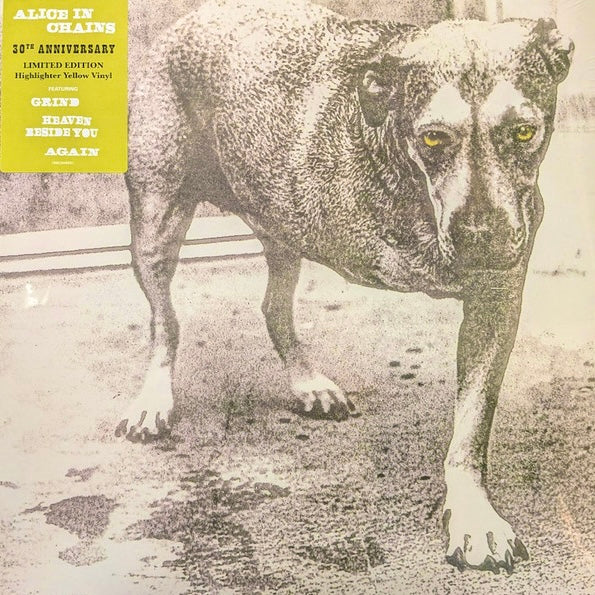 ALICE IN CHAINS Alice In Chains - 30th Anniversary Limited Edition Highlighter Yellow Coloured Vinyl 2LP - Album