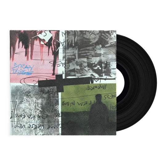 NOTHING BUT THIEVES Stray Dogs - Standard Black Vinyl LP - Album