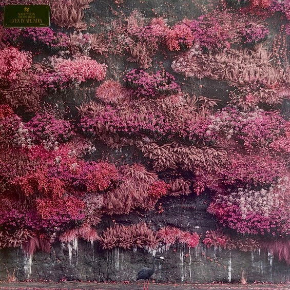 SLEEP TOKEN Even In Arcadia - Limited Edition Hint Of Blue Vinyl 2xLP - Album