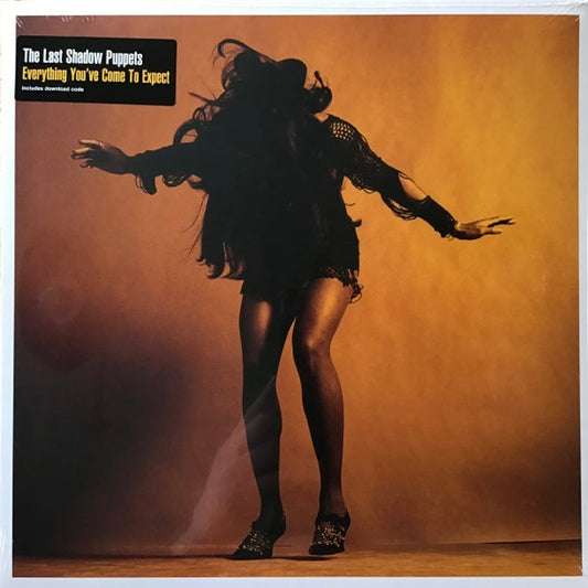 THE LAST SHADOW PUPPETS Everything You’ve Come To Expect - Vinyl LP - Album
