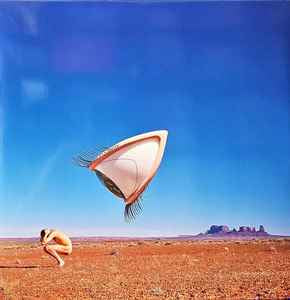 THE CRANBERRIES Bury The Hatchet - (RSD24) Limited Edition 2 x Vinyl LP - Album