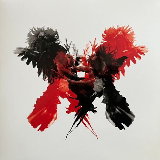 KINGS OF LEON Only By The Night -  2 x 180G Vinyl LP - Album