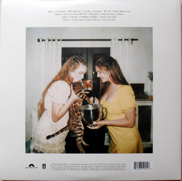 LANA DEL REY Blue Banisters - Vinyl 2LP - Album