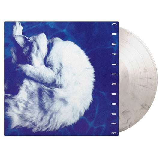 CHAPTERHOUSE Whirlpool - Limited Edition White And Black Marbled Vinyl LP - Album