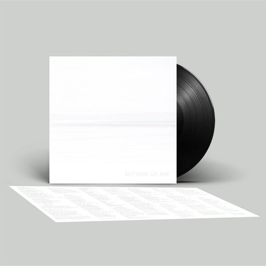 FOO FIGHTERS But Here We Are - Vinyl LP - Album