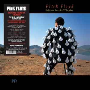 PINK FLOYD Delicate Sound Of Thunder - 2 x 180g Vinyl LP - Album