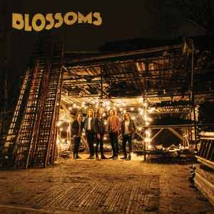 BLOSSOMS Self Titled - Vinyl LP - Album